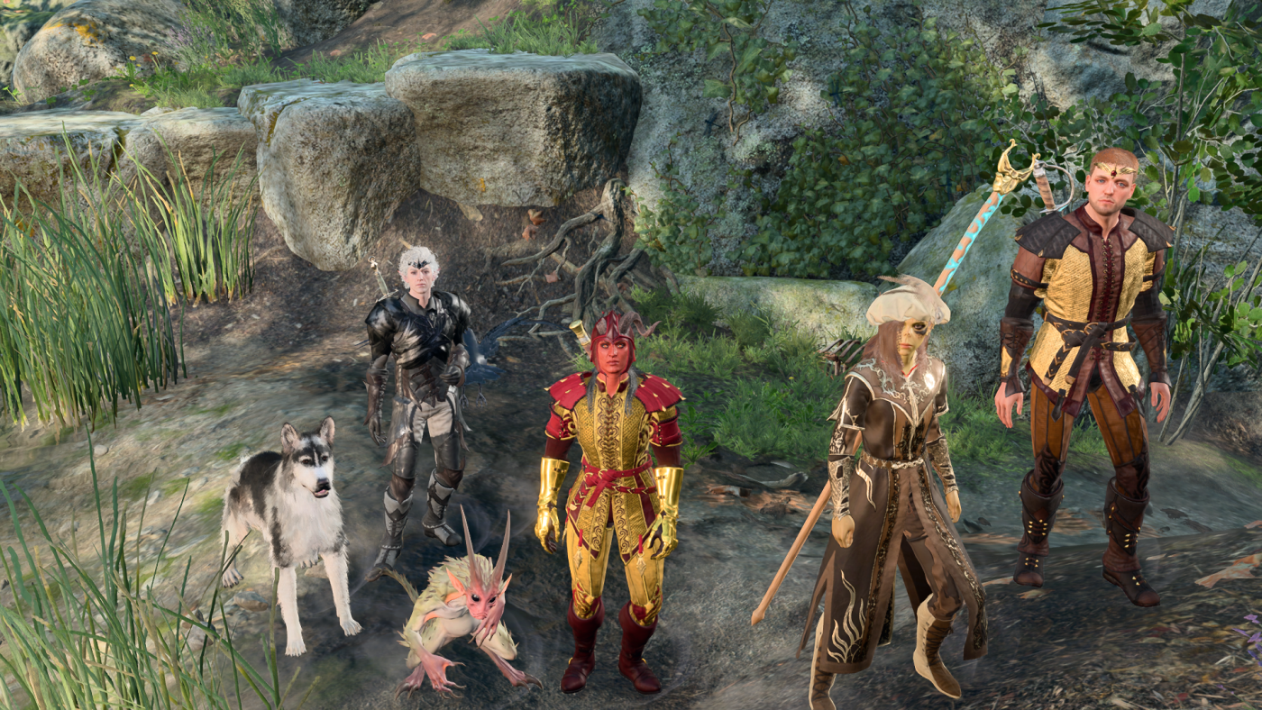 BG3 party lvl 5.png