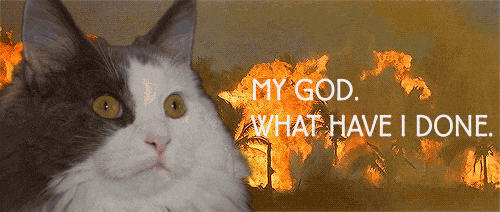 giphy-1.gif