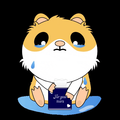 giphy-1.gif