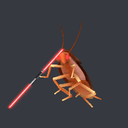 giphy.gif
