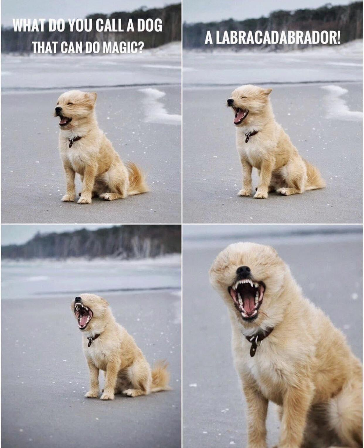 Labra.png