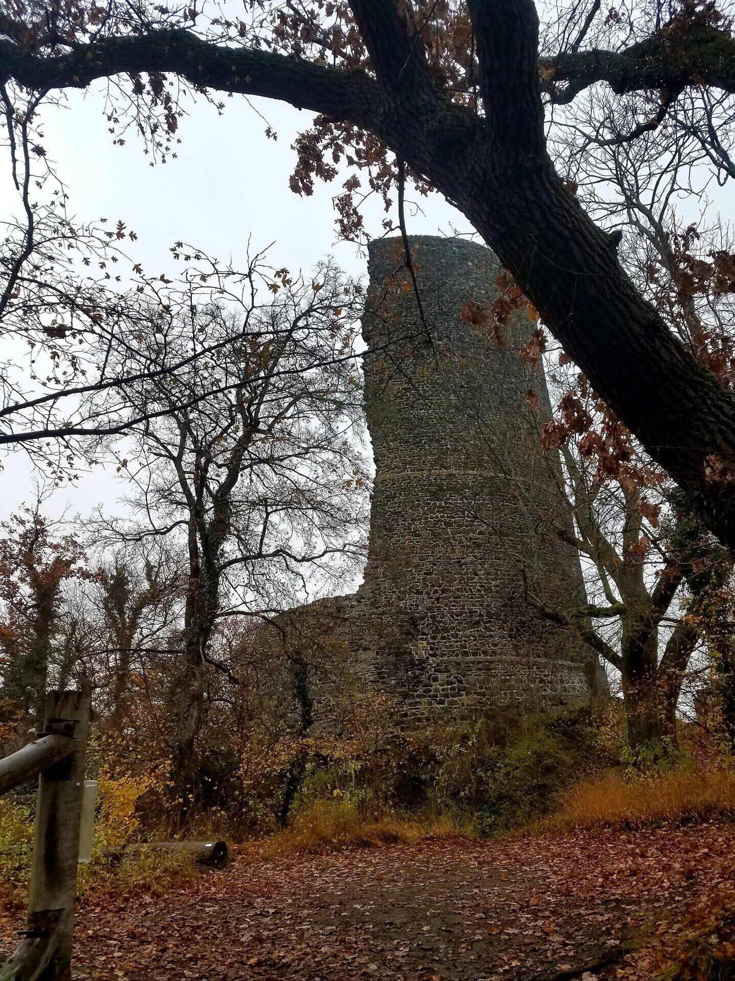 rsz_tower-min.jpg