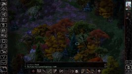 Baldur_s Gate - Enhanced Edition - v2.6.6.0 30_06_2025 22_22_17.jpg