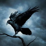 Blackraven